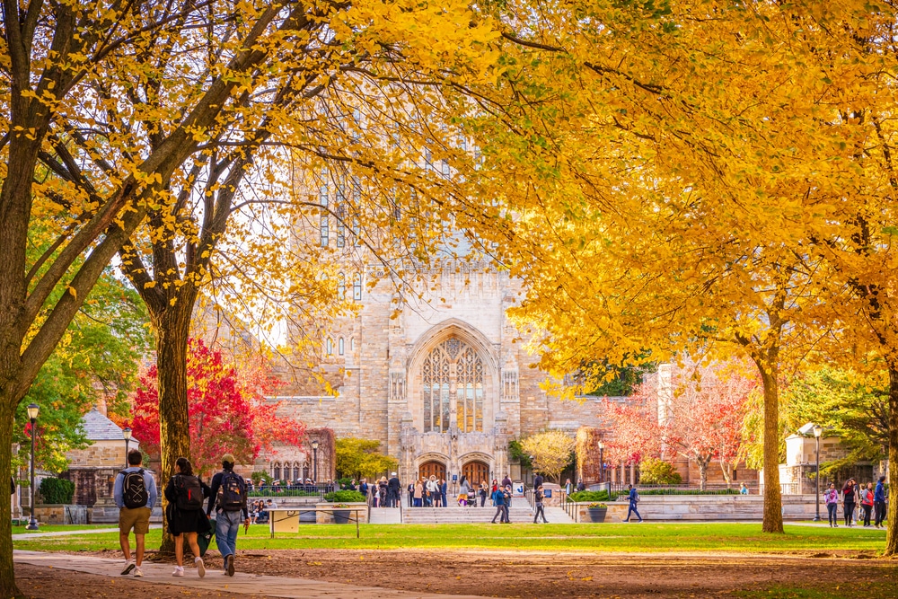 université américaine campus